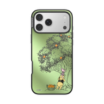 Winnie Pooh Case