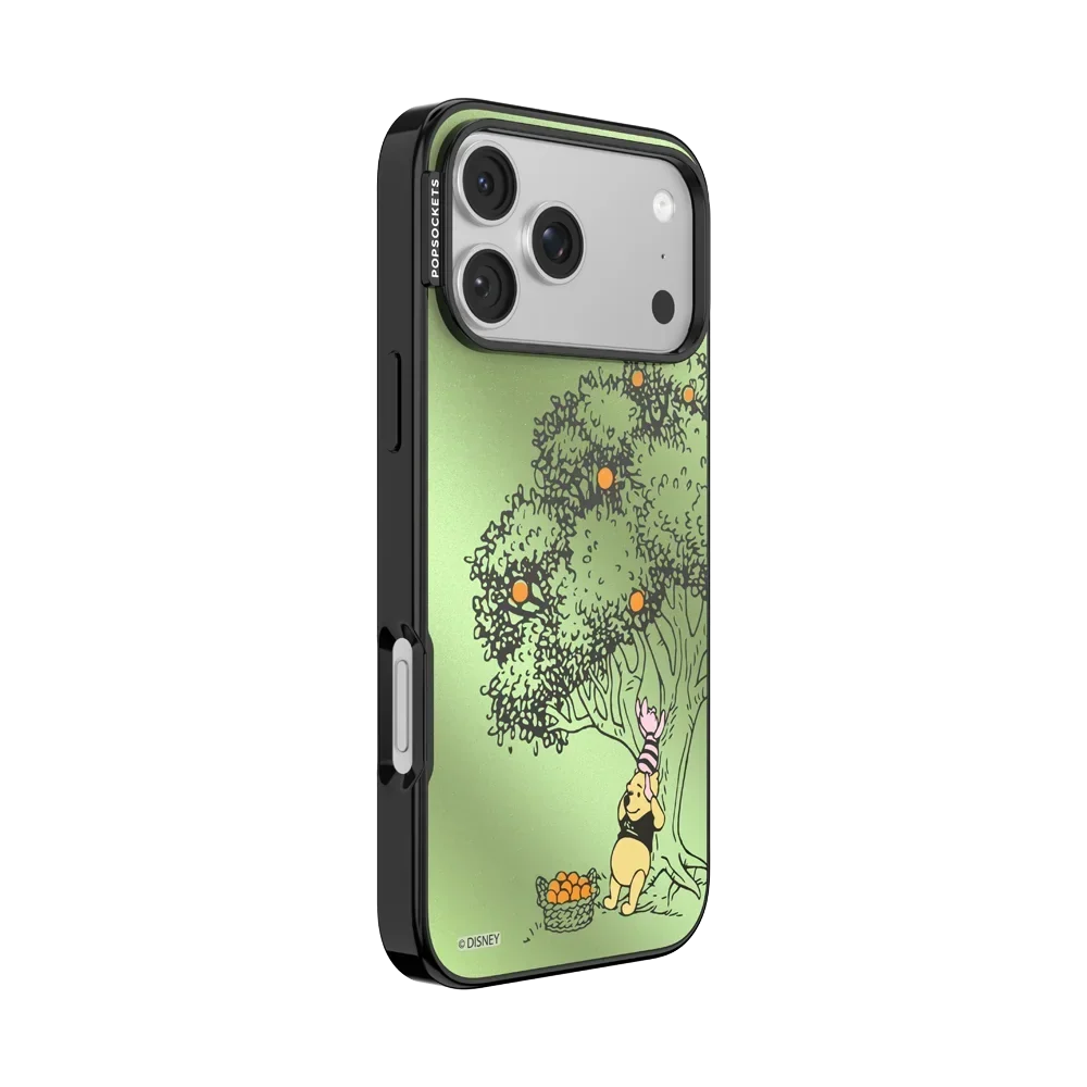 Winnie Pooh Case