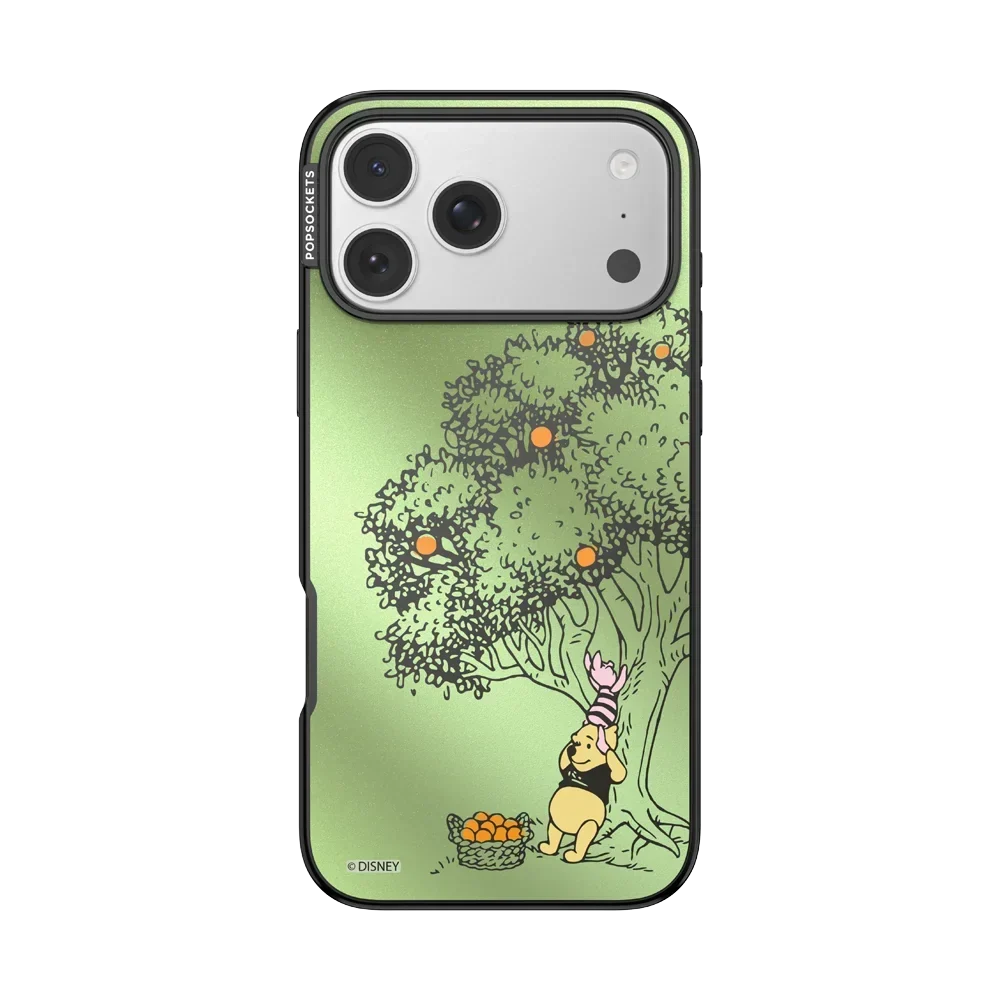 Winnie Pooh Case
