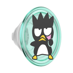 Sanrio Grips