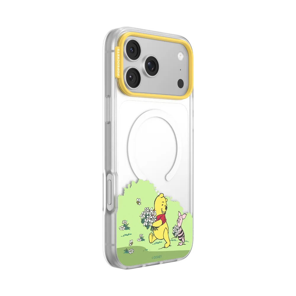 Winnie Pooh Case