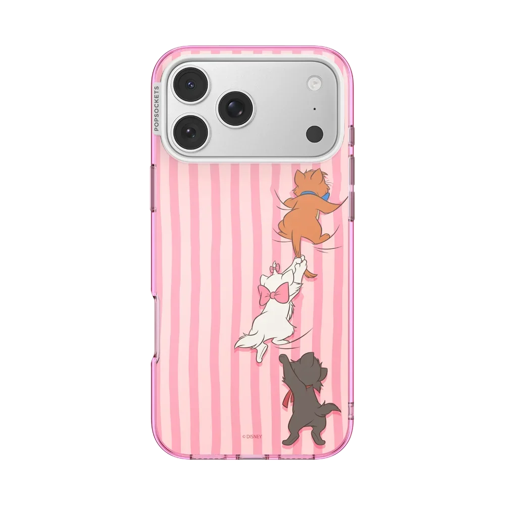Aristocats MS Case