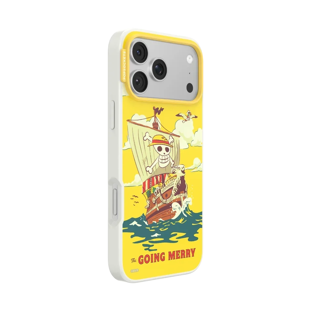 Onepiece Case