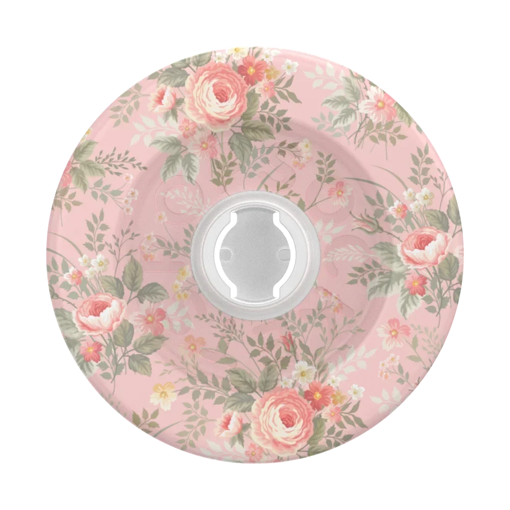 Aristocats Grips