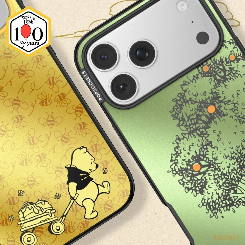 Winnie Pooh Case