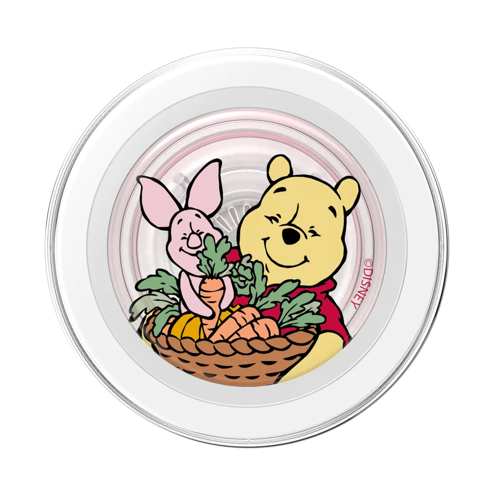 Winnie Pooh Grip