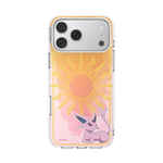 Pokemon Anniver Case