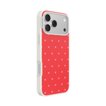 Sweet Spicy Case