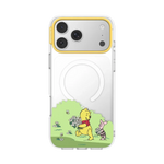 Winnie Pooh Case
