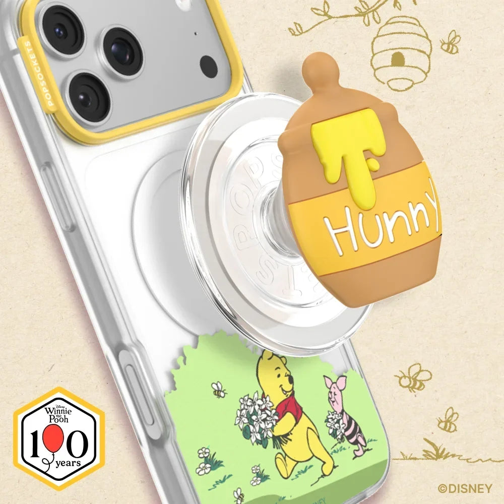 Winnie Pooh Case
