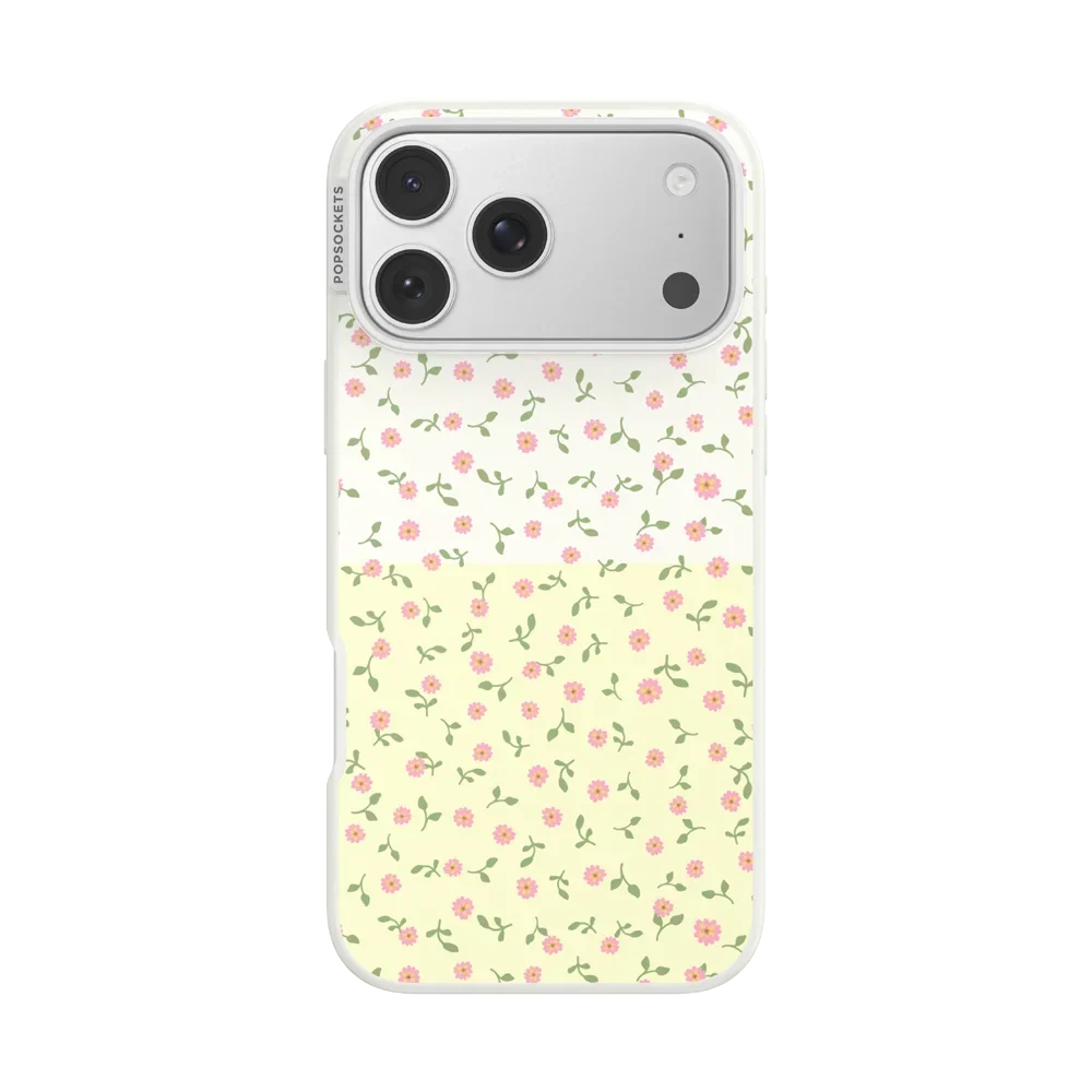 Sunset Oasis Case
