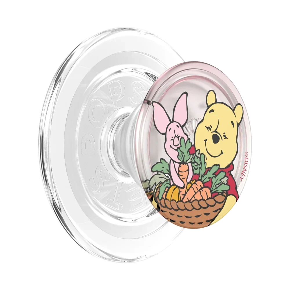 Winnie Pooh Grip