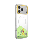 Winnie Pooh Case