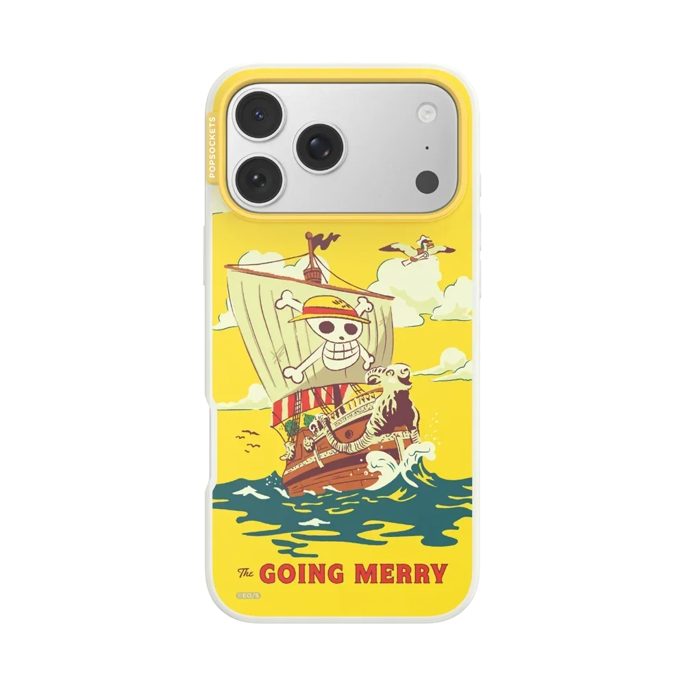 Onepiece Case